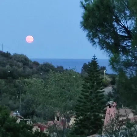 La Dipladenia Villa Costa Rei